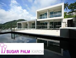 Sugar Palm Karon